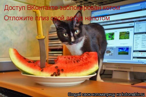Котоматрица: Доступ ВКонтакте заблокирован котом Отложите плиз свой арбуз напотом