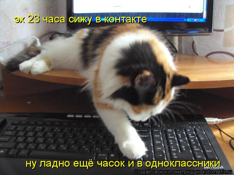 Котоматрица: эх 23 часа сижу в контакте ну ладно ещё часок и в одноклассники