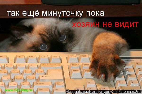 Котоматрица: так ещё минуточку пока  хозяин не видит