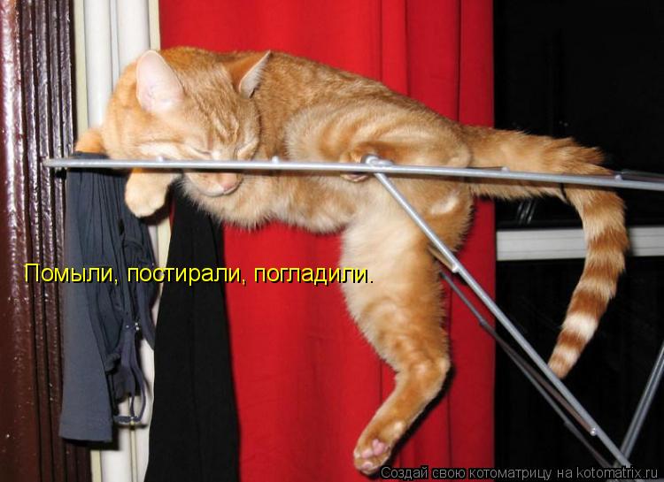 Котоматрица: Помыли, постирали, погладили.