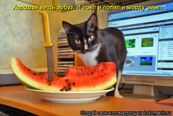 Котоматрица: Хорошая вещь арбуз. И поел и попил и морду умыл.