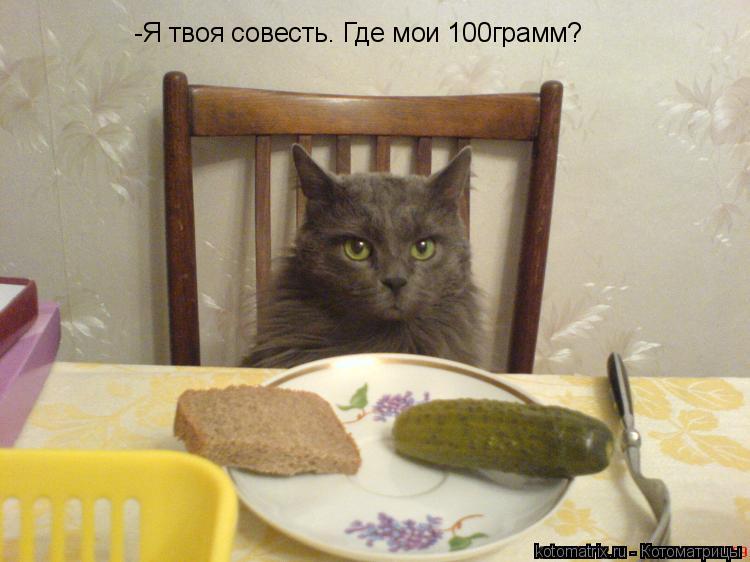 Котоматрица: -Я твоя совесть. Где мои 100грамм?
