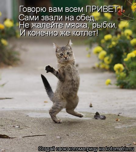 Котоматрица: Говорю вам всем ПРИВЕТ ! Сами звали на обед, Не жалейте мяска, рыбки, И конечно же котлет!