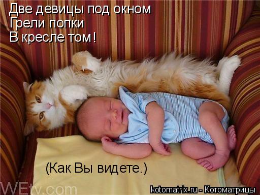 Котоматрица: Две девицы под окном Грели попки В кресле том ! (Как Вы видете.)