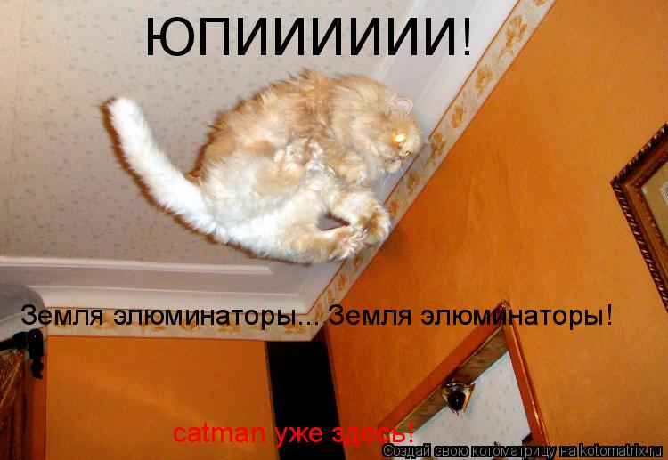 Котоматрица: ЮПИИИИИИ! Земля элюминаторы... Земля элюминаторы! catman уже здесь!