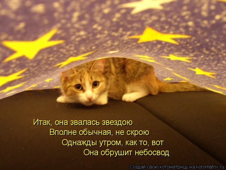 Котоматрица: Итак, она звалась звездою Вполне обычная, не скрою Однажды утром, как то, вот Она обрушит небосвод