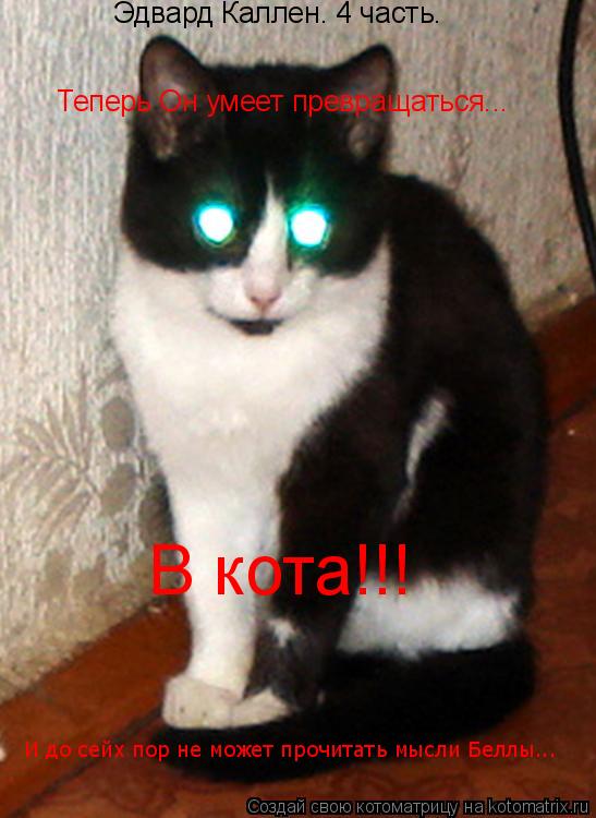 Котоматрица: Эдвард Каллен. 4 часть.  Теперь Он умеет превращаться... В кота!!! И до сейх пор не может прочитать мысли Беллы...