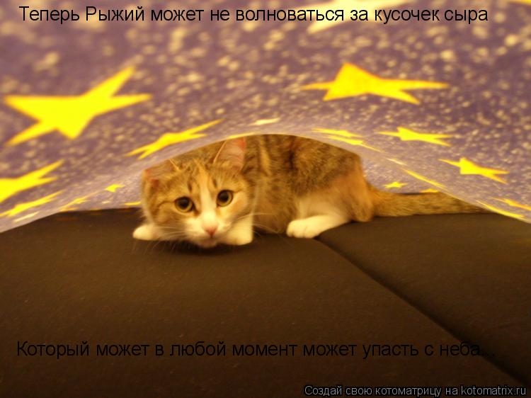 Котоматрица: Теперь Рыжий может не волноваться за кусочек сыра Который может в любой момент может упасть с неба...