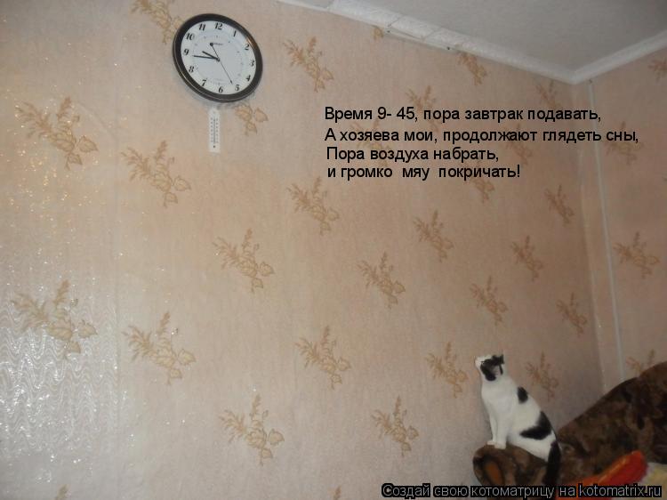 Котоматрица: Время 9- 45, пора завтрак подавать, А хозяева мои, продолжают глядеть сны, Пора воздуха набрать,  и громко «мяу» покричать!