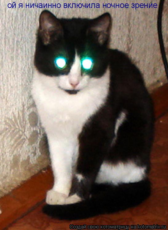 Котоматрица: ой я ничаинно включила ночное зрение