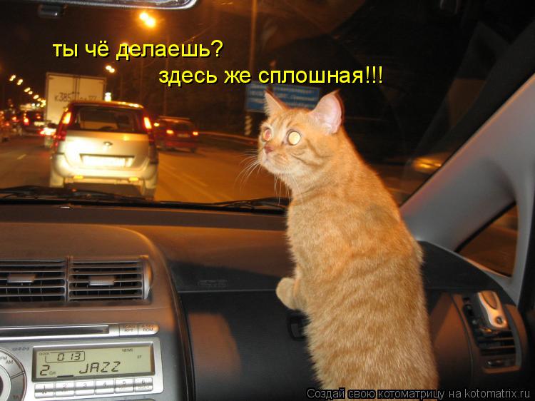 Котоматрица: ты чё делаешь? здесь же сплошная!!!