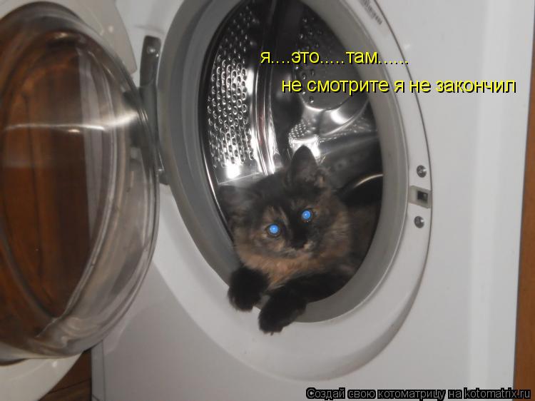 Котоматрица: я....это.....там...... не смотрите я не закончил