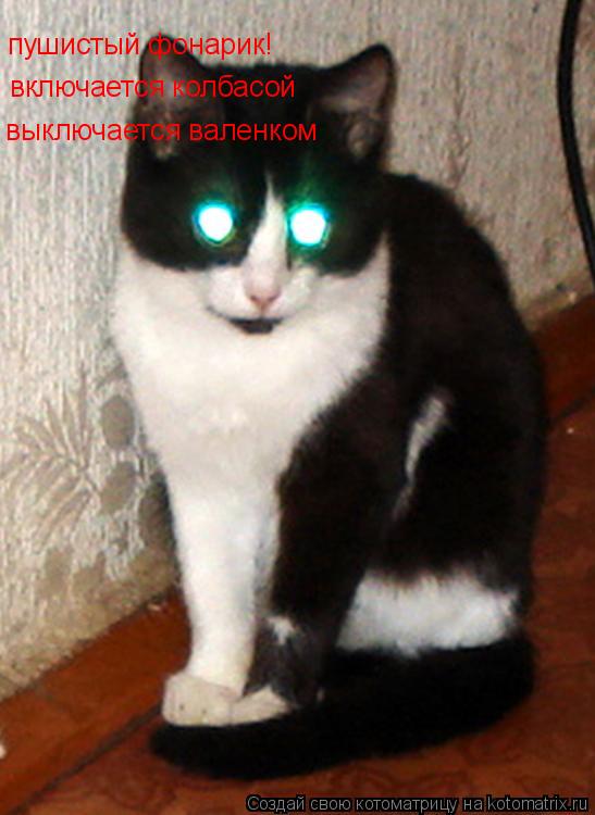 Котоматрица: пушистый фонарик! включается колбасой выключается валенком