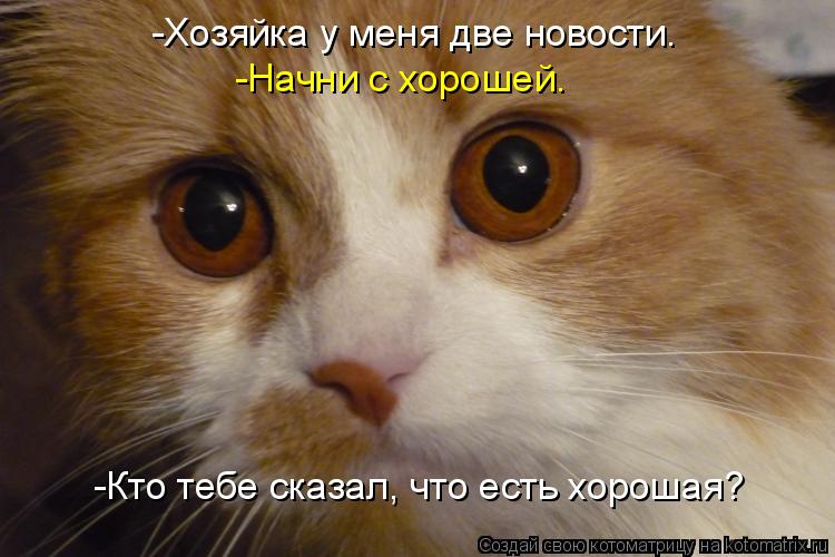 Котоматрица: -Хозяйка у меня две новости. -Начни с хорошей. -Кто тебе сказал, что есть хорошая?