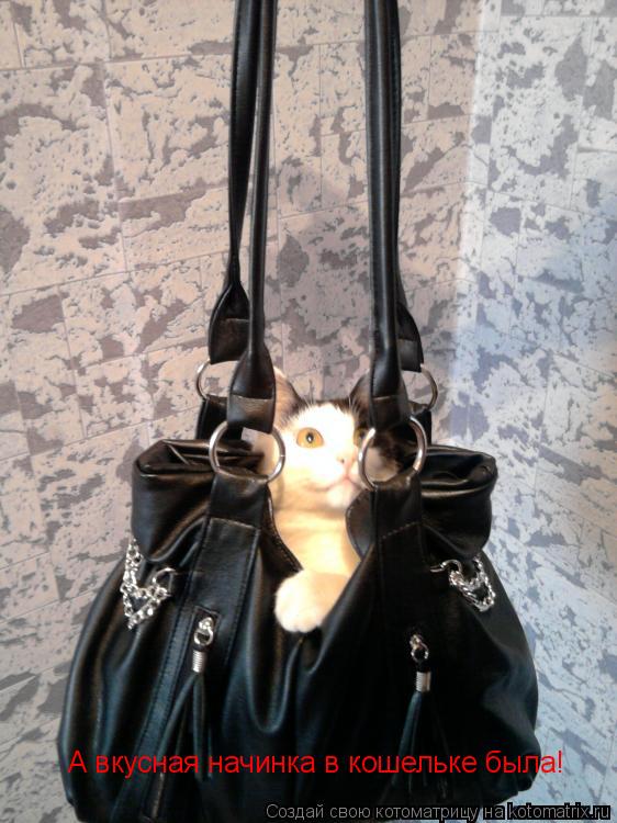 Котоматрица: А вкусная начинка в кошельке была!