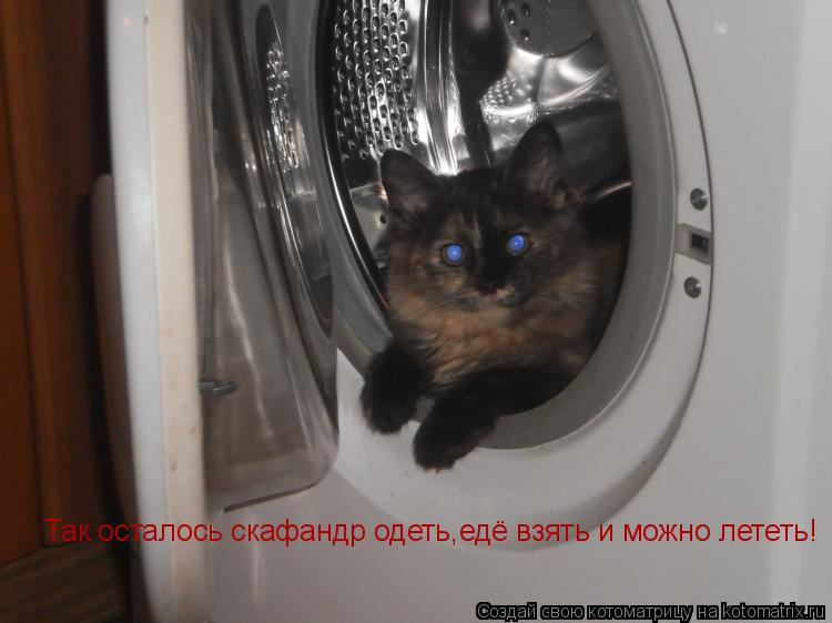 Котоматрица: Так осталось скафандр одеть,едё взять и можно лететь!