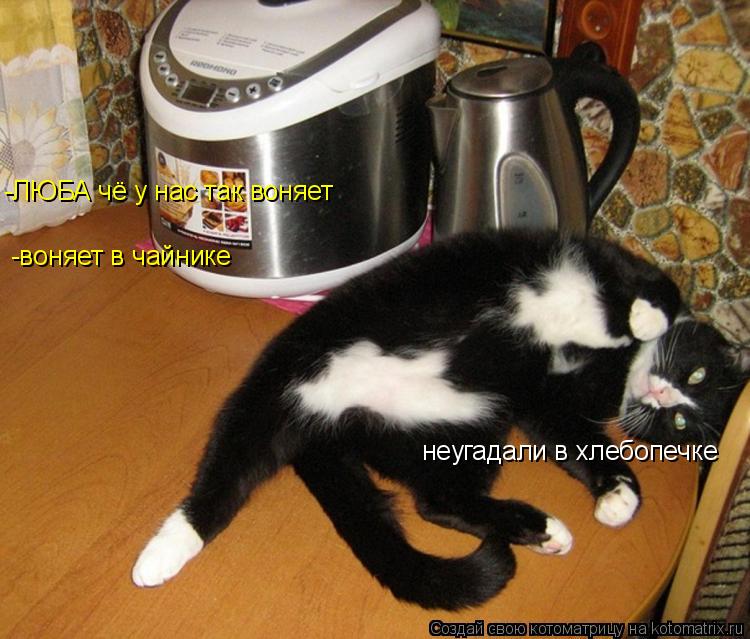 Котоматрица: -ЛЮБА чё у нас так воняет -воняет в чайнике неугадали в хлебопечке