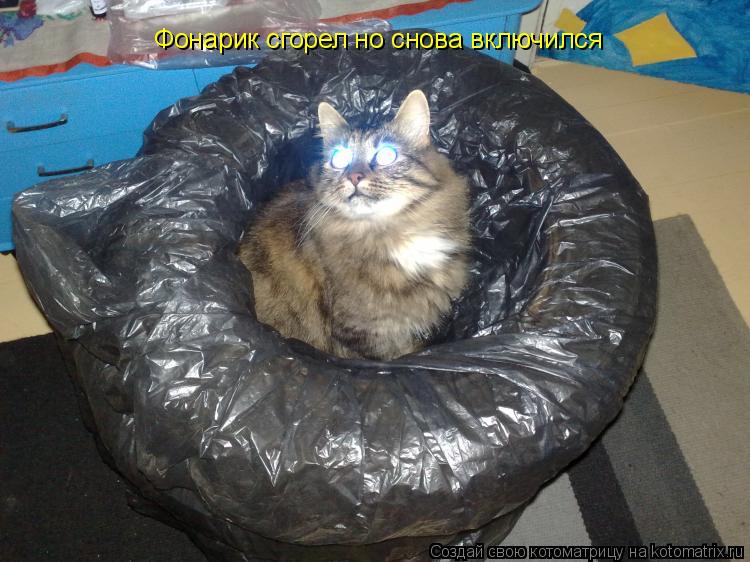 Котоматрица: Фонарик сгорел но снова включился