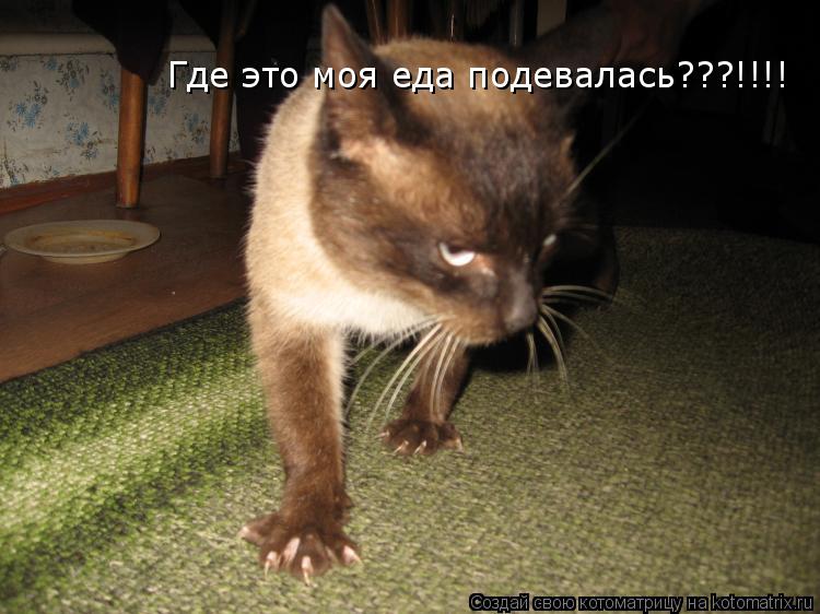 Котоматрица: Где это моя еда подевалась???!!!!