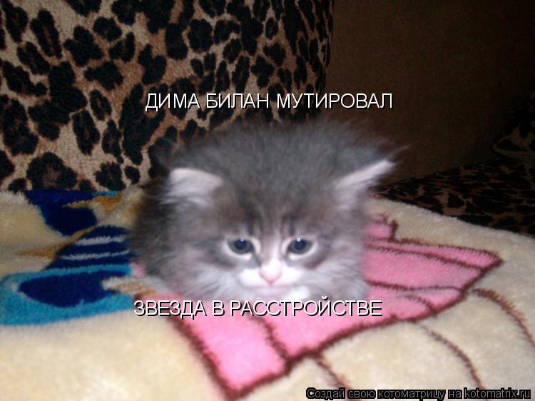 Котоматрица: ДИМА БИЛАН МУТИРОВАЛ ЗВЕЗДА В РАССТРОЙСТВЕ