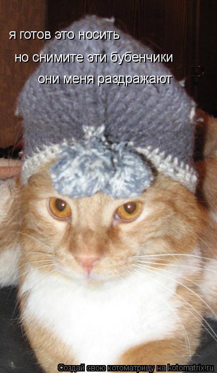 Котоматрица: я готов это носить но снимите эти бубенчики они меня раздражают