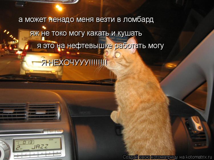 Котоматрица: а может ненадо меня везти в ломбард яж не токо могу какать и кушать я это на нефтевышке работать могу Я НЕХОЧУУУ!!!!!!!!