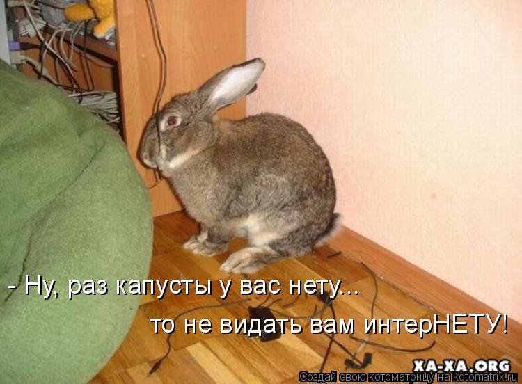 Котоматрица: - Ну, раз капусты у вас нету... то не видать вам интерНЕТУ!