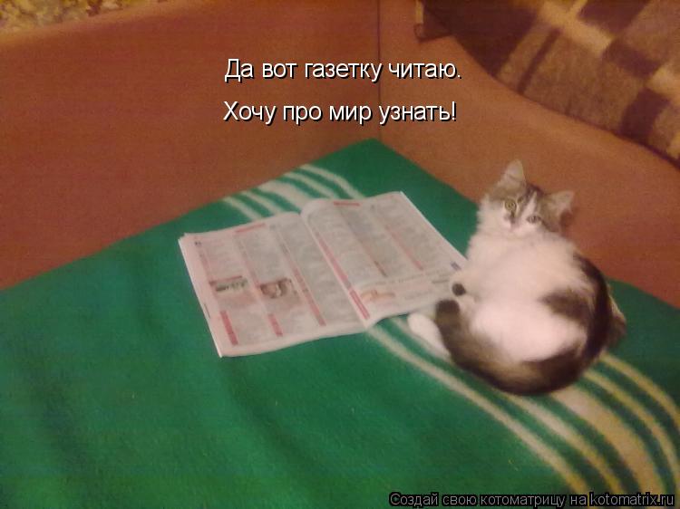 Котоматрица: Да вот газетку читаю. Хочу про мир узнать!