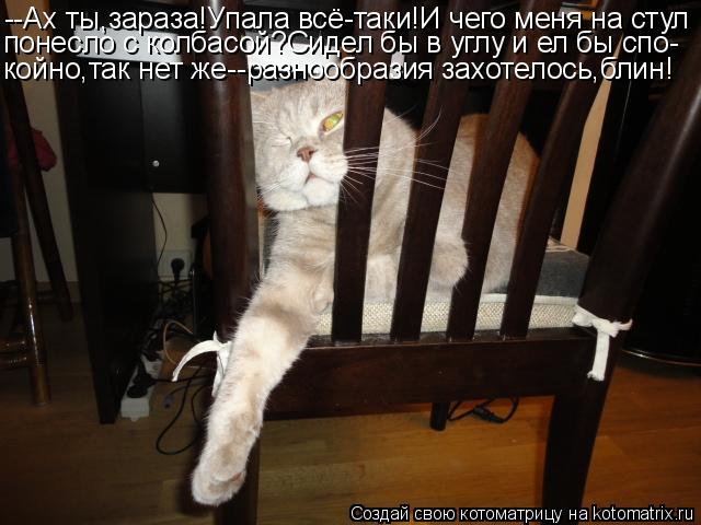 Котоматрица: --Ах ты,зараза!Упала всё-таки!И чего меня на стул понесло с колбасой?Сидел бы в углу и ел бы спо- койно,так нет же--разнообразия захотелось,бли