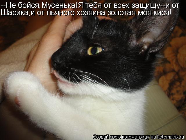 Котоматрица: --Не бойся,Мусенька!Я тебя от всех защищу--и от Шарика,и от пьяного хозяина,золотая моя кися!