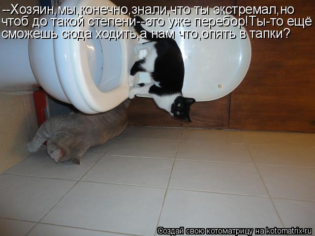 Котоматрица: --Хозяин,мы,конечно,знали,что ты экстремал,но чтоб до такой степени--это уже перебор!Ты-то ещё сможешь сюда ходить,а нам что,опять в тапки?