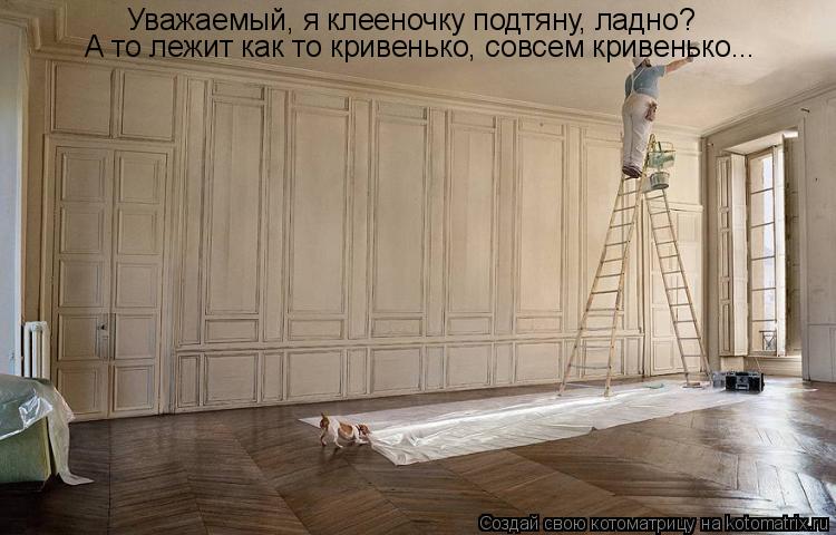 Котоматрица: Уважаемый, я клееночку подтяну, ладно? А то лежит как то кривенько, совсем кривенько...