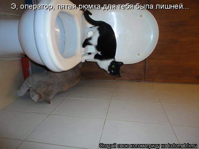 Котоматрица: Э, оператор, пятая рюмка для тебя была лишней...
