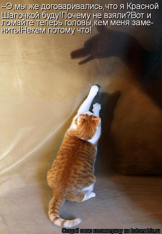 Котоматрица: --Э,мы же договаривались,что я Красной Шапочкой буду!Почему не взяли?Вот и ломайте теперь головы,кем меня заме- нить!Некем потому что!