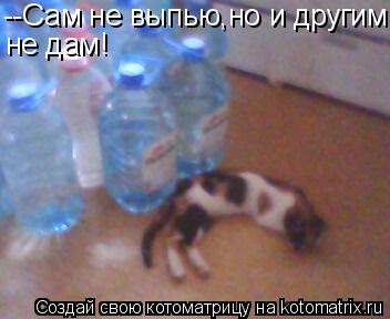 Котоматрица: --Сам не выпью,но и другим не дам!