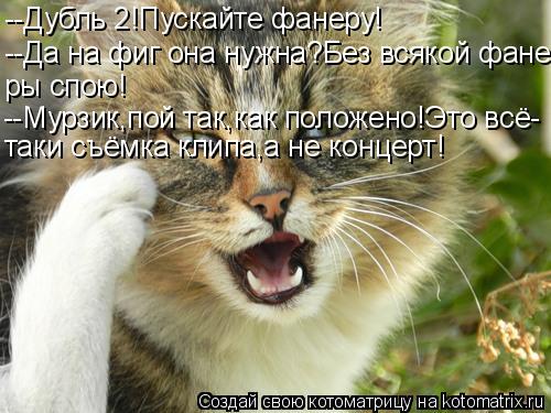 Котоматрица: --Дубль 2!Пускайте фанеру! --Да на фиг она нужна?Без всякой фане- ры спою! --Мурзик,пой так,как положено!Это всё- таки съёмка клипа,а не концерт!