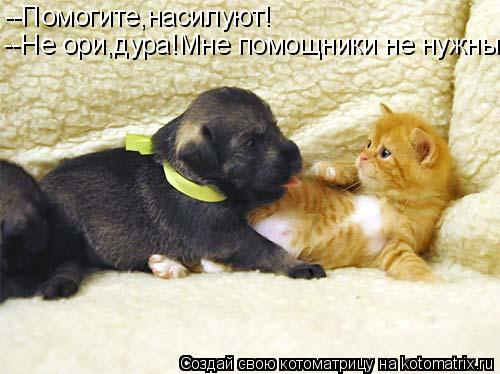 Котоматрица: --Помогите,насилуют! --Не ори,дура!Мне помощники не нужны!