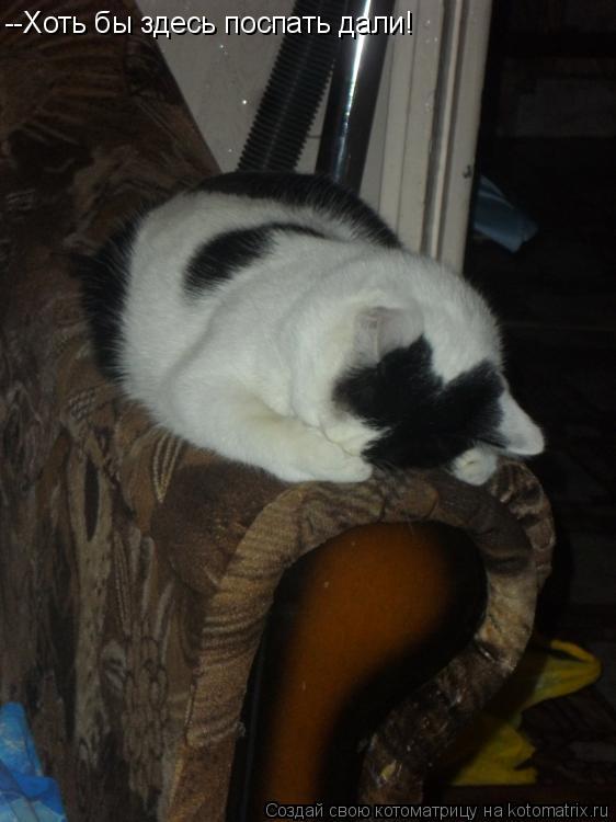 Котоматрица: --Хоть бы здесь поспать дали!