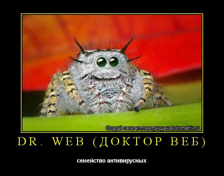 Котоматрица: Dr. Web (Доктор Веб)  семейство антивирусных
