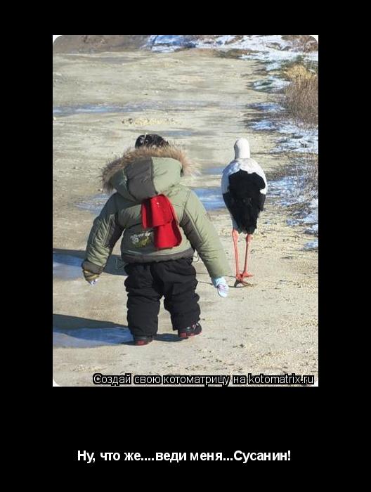 Котоматрица: вперёд в неизвестность! Ну, что же....веди меня...Сусанин!