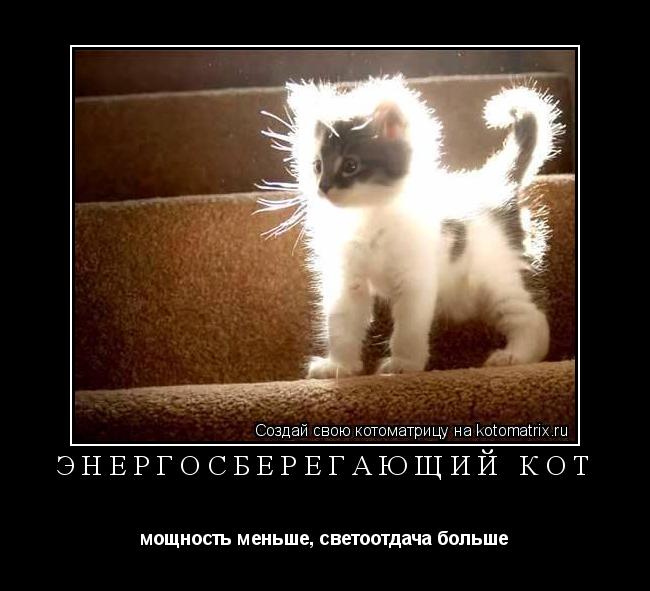 Котоматрица: Энергосберегающий кот мощность меньше, светоотдача больше