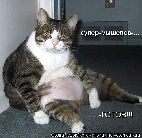 Котоматрица: супер-мышелов-... ...-ГОТОВ!!!