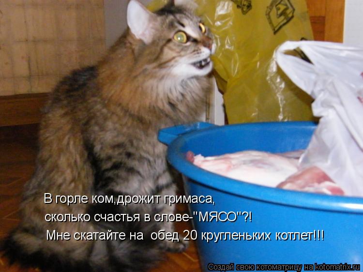 Котоматрица: В горле ком,дрожит гримаса, сколько счастья в слове-"МЯСО"?! Мне скатайте на  обед 20 кругленьких котлет!!!