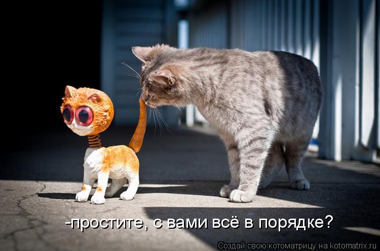 Котоматрица: -простите, с вами всё в порядке?