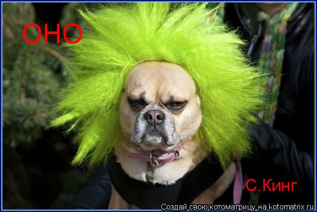 Котоматрица: С.Кинг ОНО