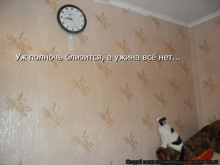 Котоматрица: Уж полночь близится, а ужина всё нет...