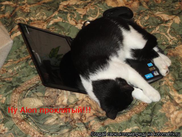 Котоматрица: Ну Aion проклятый!!!