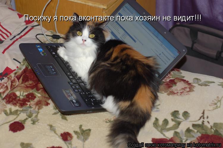Котоматрица: Посижу я пока вконтакте,пока хозяин не видит!!!