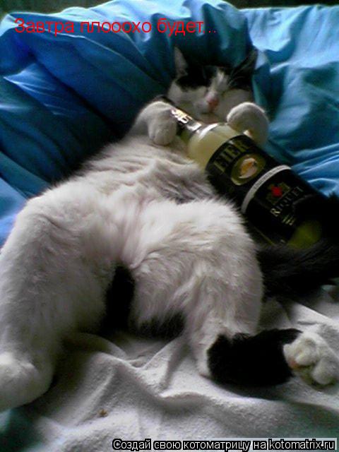 Котоматрица: Завтра плооохо будет...
