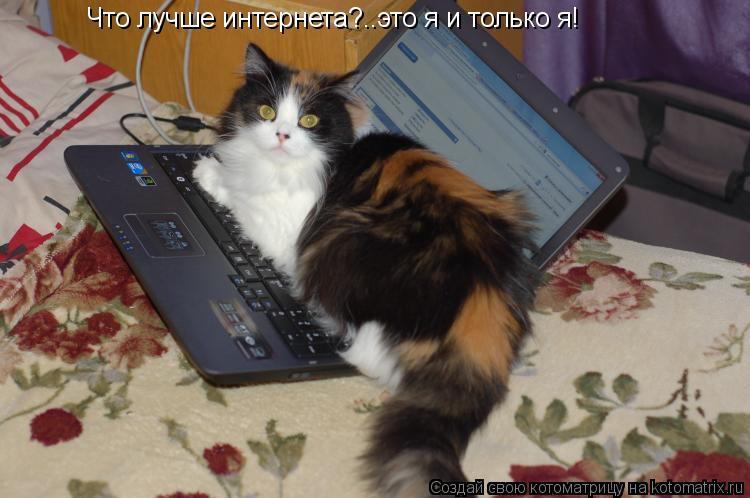 Котоматрица: Что лучше интернета?..это я и только я!